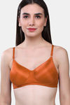 Maroon Clothing Padded Non Wired Full Coverage T-Shirt Bra (Pack of 2) - Multicolor — thumbnail 6